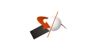 SPIN-AXIS